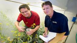 Two scientists in a lab studying plants.
