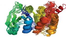 3-D image of ALG3 protein