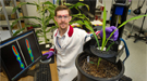 Brookhaven Lab plant scientist Benjamin Babst with corn and sorghum plants.