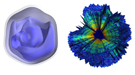 Rendering one the left shows a 3-D reconstruction of a Mimivirus and the computerized rendering on the right shows a cutaway view of a collection of about 200 X-ray patterns.