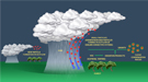 Scanning the pristine skies above the Amazon rainforest revealed that small aerosol particles that form naturally in the upper atmosphere are carried to the lower atmosphere by rapid downdrafts associated with rainfall. 