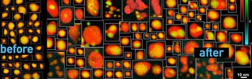 STEM/EELS microscope images revealing effects of aging to fuel cell catalyst nanoparticles. Color coding identifies elements in each nanoparticle.