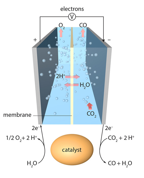 Electrochemical cell for splitting carbon dioxide into carbon monoxide and oxygen.