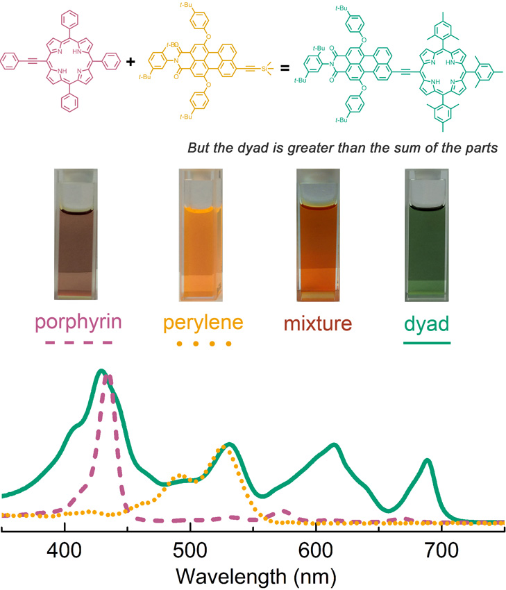 The color spectrum of light absorbed by a strongly-coupled perylene-tetrapyrrole dyad is more than the sum of the spectra of the constituents.