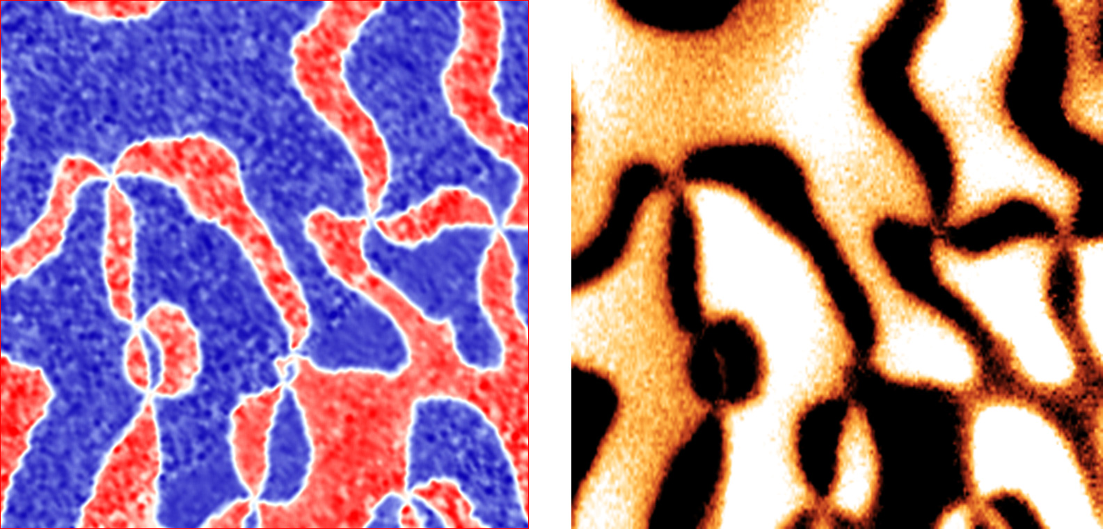 Piezo-response force microscopy image of ferroelectric domains in hexagonal erbium manganite...