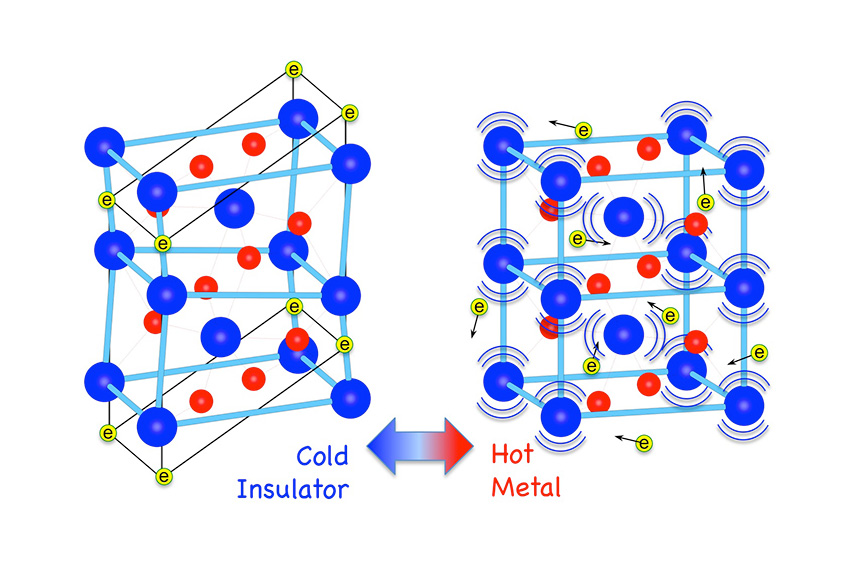 Changes in the crystal structure and electronic properties of vanadium dioxide (VO2) occur during its insulator-to-metal phase transition (V blue; O red)