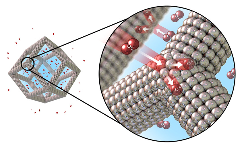 Illustration of the catalytic oxygen reduction reaction on the surface of platinum-nickel nanoframes with multilayered platinum skin structure