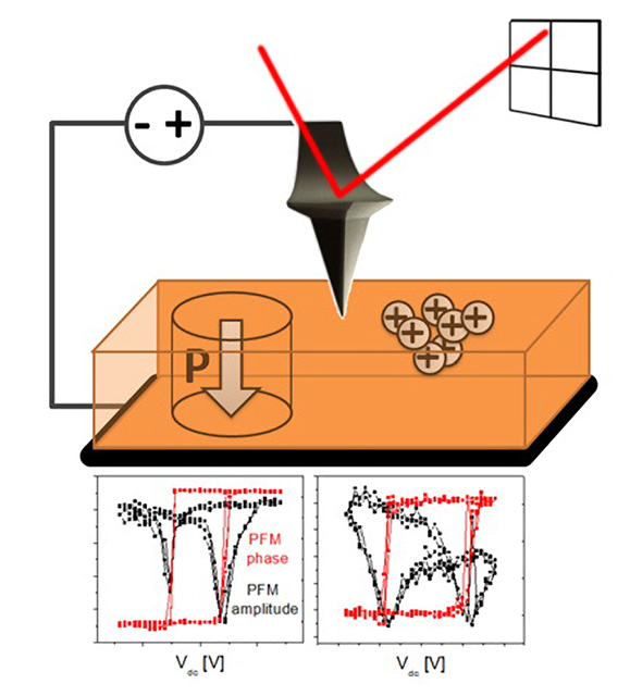 A scanning probe microscope (SPM) can detect two similar signals, which could lead to ambiguous identification of ferroelectric materials.