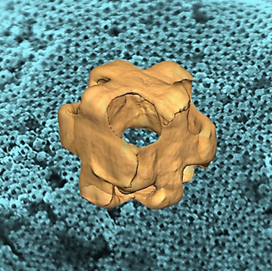An image of a hollow gold-silver alloy nanowrapper showing the pores at each corner, and in the background, a lattice of nanowrappers.